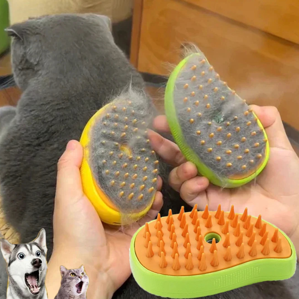 Cats brush