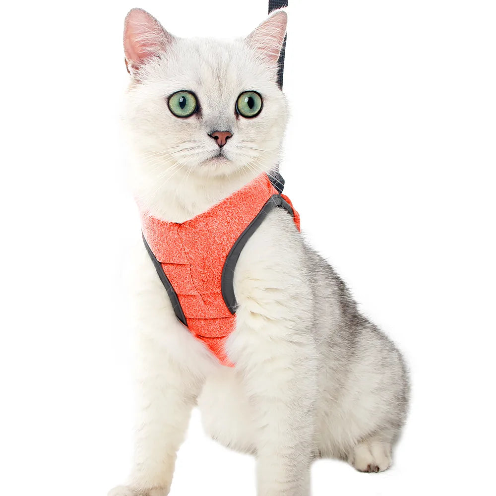 Adjustable Anti-Escape Small Cat Belt Kitten Harness Light Breathable Soft Pet Vest Wiring Harness Traction Belt Kitten Walking