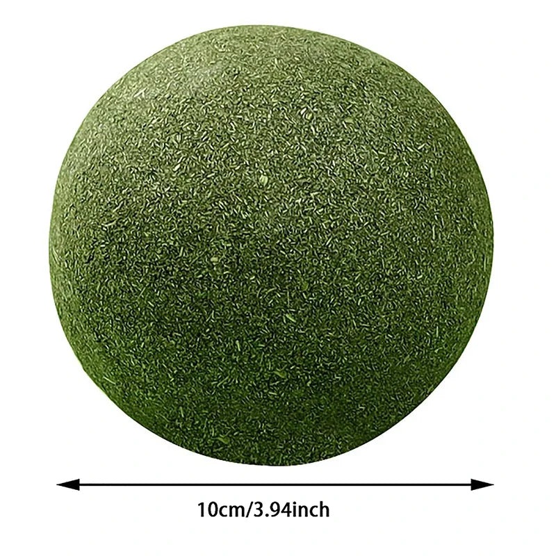 Super Large Catnip Ball 10cm Cat Grass Self-Hi Relieving Stuffy Insect Gall Fruit Giant Pet Bite Molar Wholesale Pet Cat Toy Toy