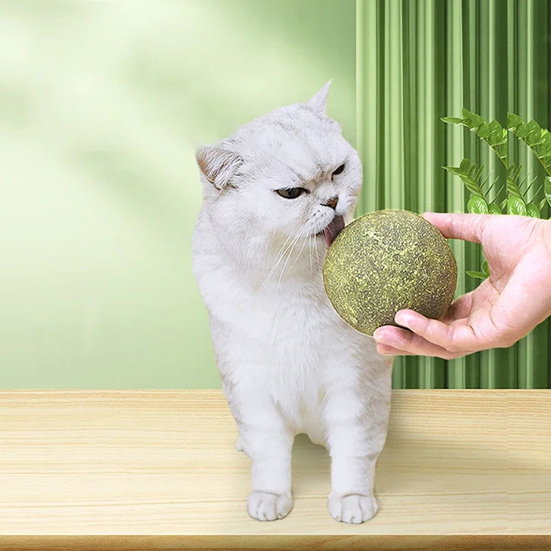 Super Large Catnip Ball 10cm Cat Grass Self-Hi Relieving Stuffy Insect Gall Fruit Giant Pet Bite Molar Wholesale Pet Cat Toy Toy