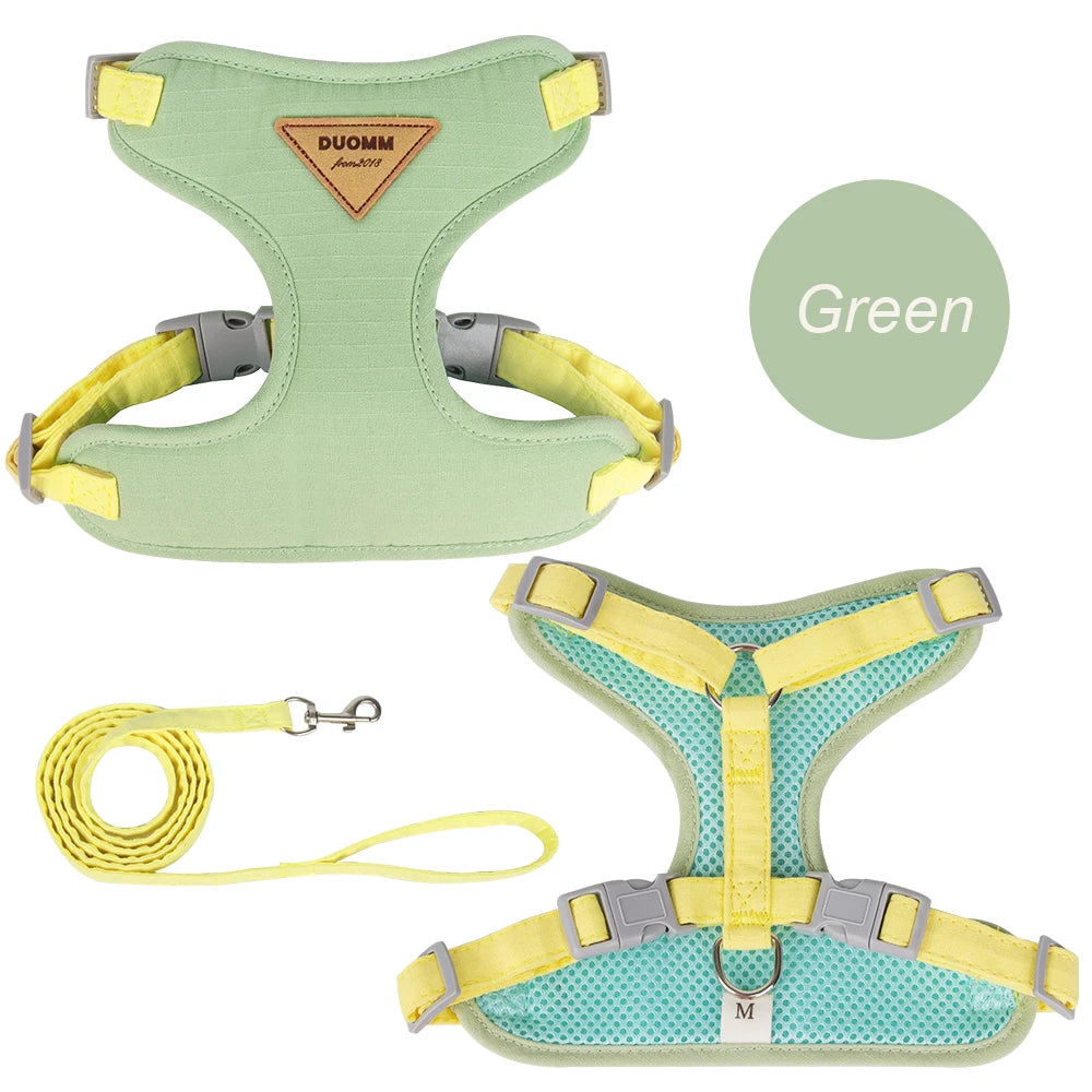 Cat Puppy Outdoor Walking Supplies Fashion Pet Harness and Leash Set for Small Dogs Cats Breathable Durable Kitten Harnesses