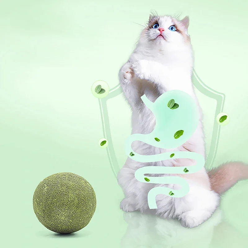 Super Large Catnip Ball 10cm Cat Grass Self-Hi Relieving Stuffy Insect Gall Fruit Giant Pet Bite Molar Wholesale Pet Cat Toy Toy