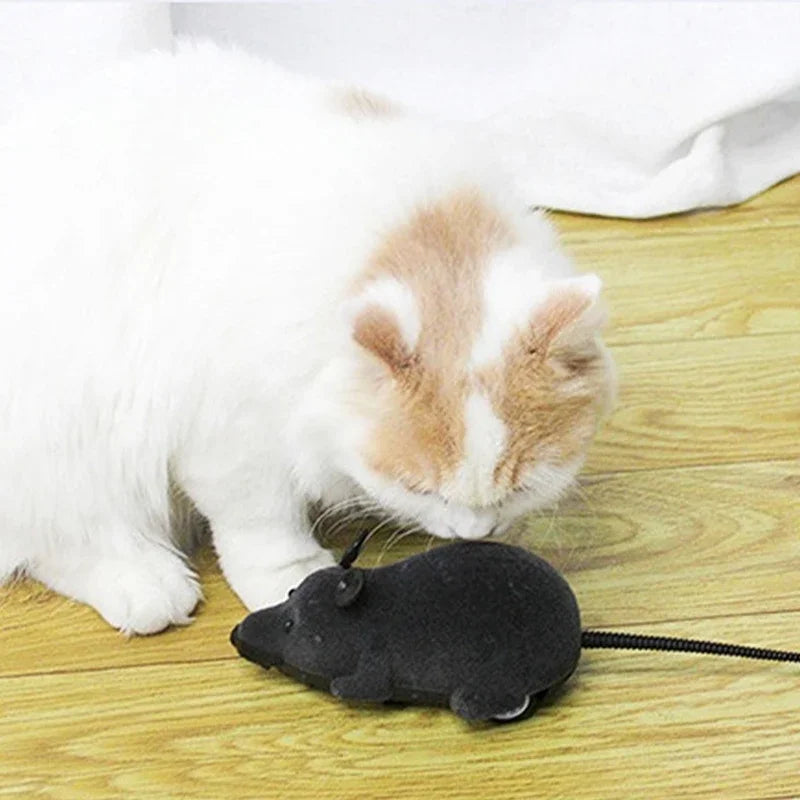 Rat Funny Cat Toy With Remote Control Multicolor Mouse Cute Wireless Controlled Toy Rat Pet Supplies Cat Pet Supplies