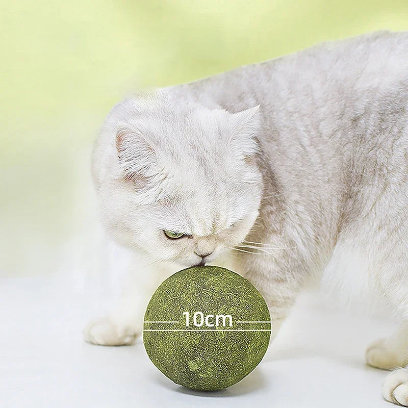 Super Large Catnip Ball 10cm Cat Grass Self-Hi Relieving Stuffy Insect Gall Fruit Giant Pet Bite Molar Wholesale Pet Cat Toy Toy