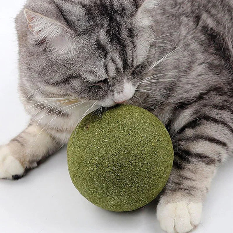 Super Large Catnip Ball 10cm Cat Grass Self-Hi Relieving Stuffy Insect Gall Fruit Giant Pet Bite Molar Wholesale Pet Cat Toy Toy