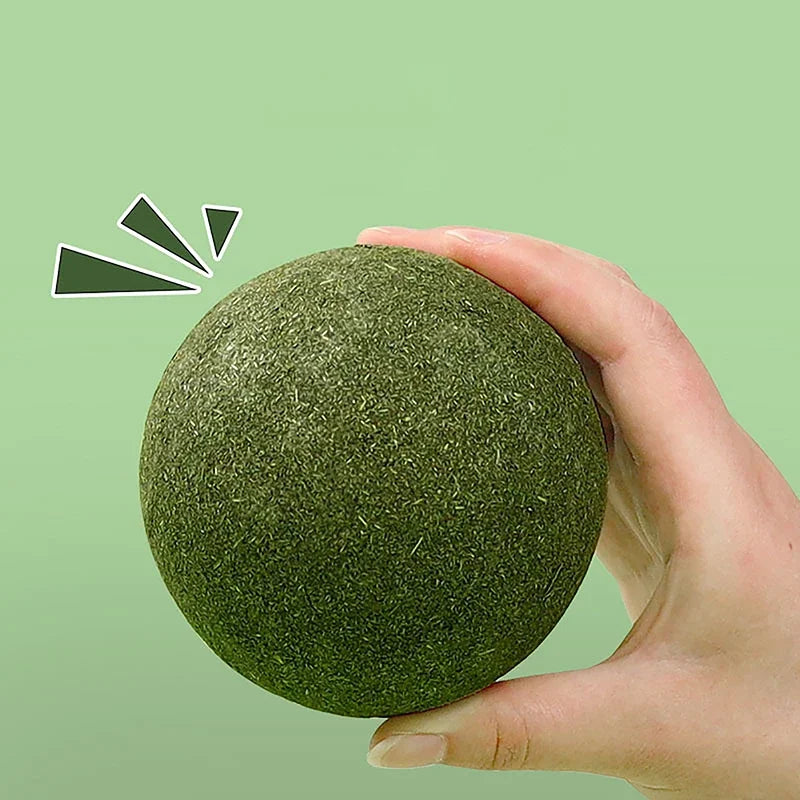 Super Large Catnip Ball 10cm Cat Grass Self-Hi Relieving Stuffy Insect Gall Fruit Giant Pet Bite Molar Wholesale Pet Cat Toy Toy