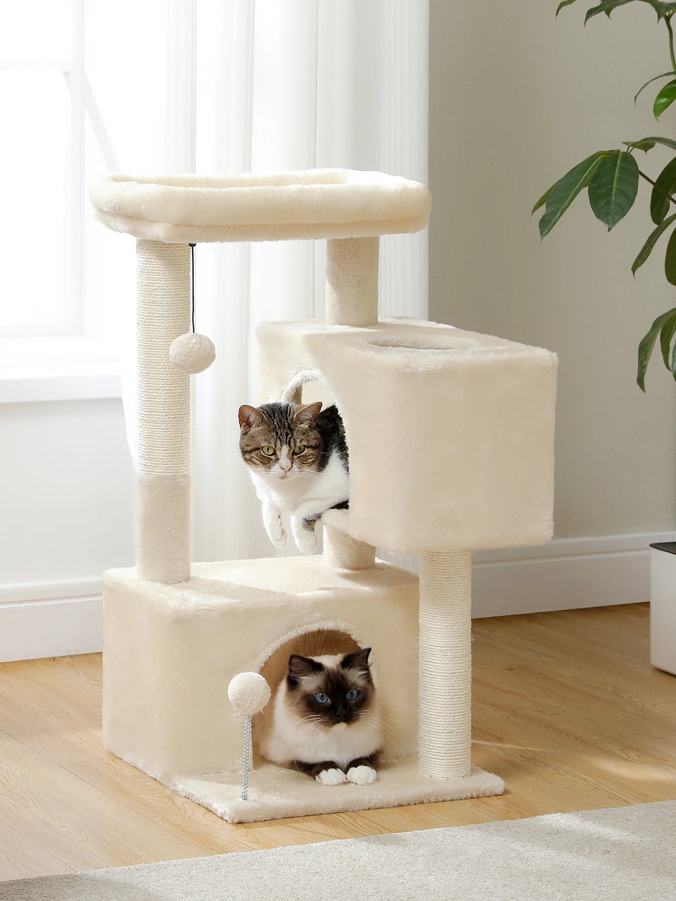 H80CM Cat Tower with Double Condo for Kittens Indoor Large Top Perch 2 Large Cave with Window Sisal Scratching Posts Spring Ball