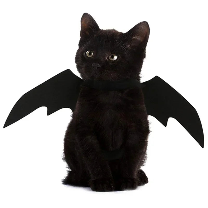 1PcsHalloween Cute Pet Clothes Black Bat Wings Harness Costume Cosplay Cat Dog Halloween Party for Pet Supplies