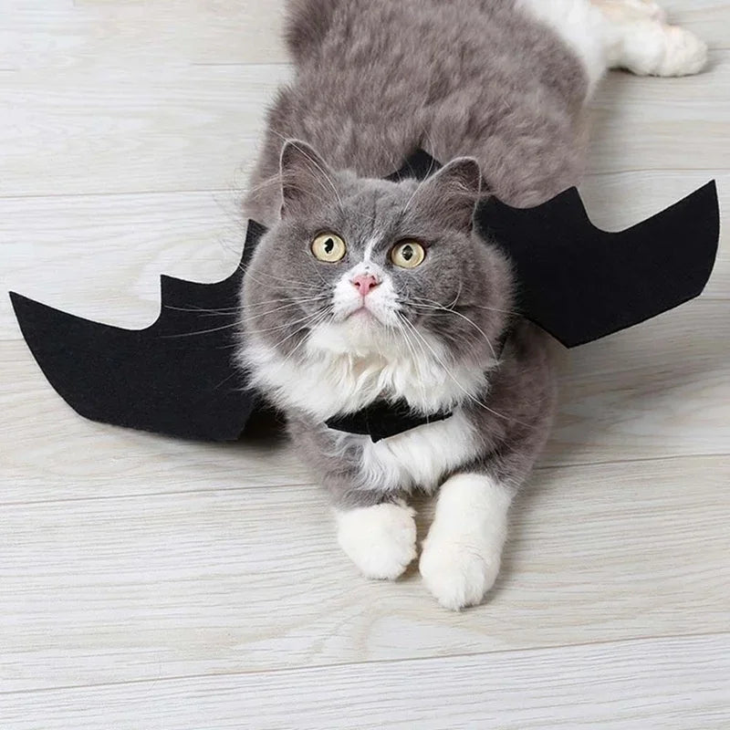 1PcsHalloween Cute Pet Clothes Black Bat Wings Harness Costume Cosplay Cat Dog Halloween Party for Pet Supplies