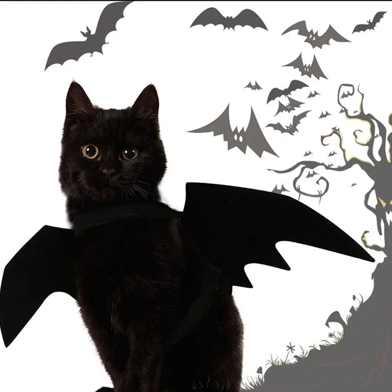 1PcsHalloween Cute Pet Clothes Black Bat Wings Harness Costume Cosplay Cat Dog Halloween Party for Pet Supplies