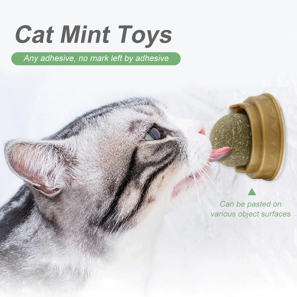 1-10PCS Natural Catnip Cat Wall Stick-on Ball Toy with Dust Cover Scratchers Molar Teeth Catnip Snack Ball Promote Digestion