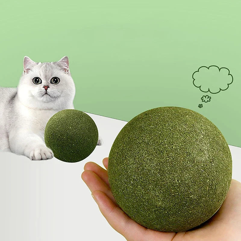 Super Large Catnip Ball 10cm Cat Grass Self-Hi Relieving Stuffy Insect Gall Fruit Giant Pet Bite Molar Wholesale Pet Cat Toy Toy